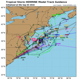 TS Hermine model forecast tracks : source tropicaltidbits.com