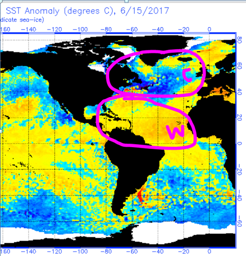 Current SST Anomalies